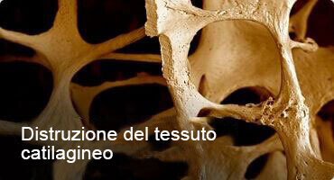 HONDRO SOL ACQUISTARE